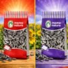 Discover the Flavour of Mama Natura Sunflower Seeds