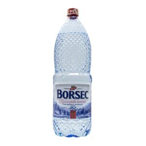 BORSEC STILL WATER APA PLATA 6x2L