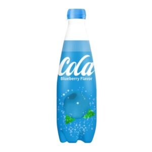 CHINESE COCA COLA BLUEBERRY BOTTLE 24X400ML